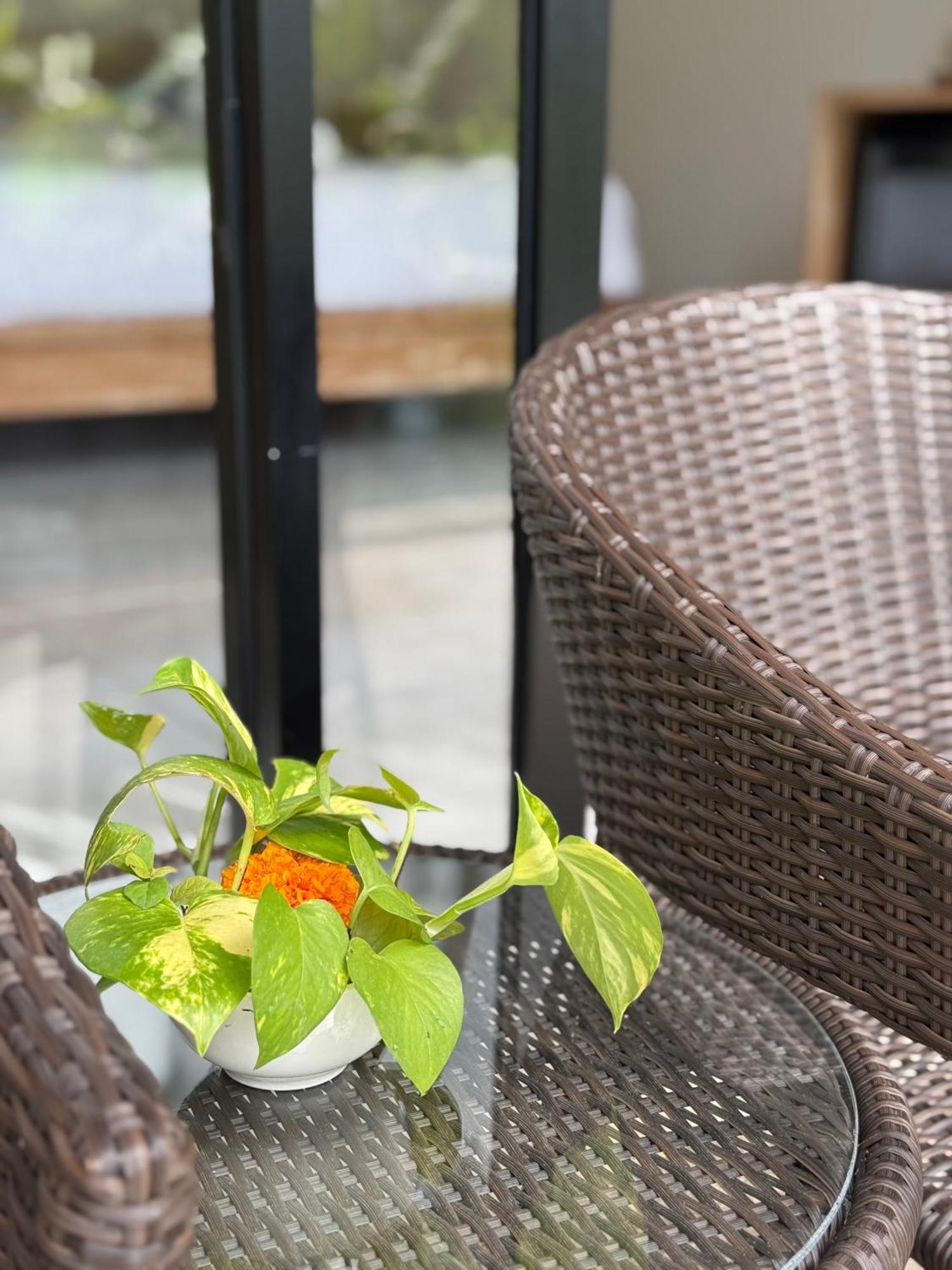 Bali View Ubud Hotel Eksteriør bilde